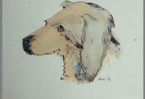 Соллогуб Ф.Л. Рисунок. Голова собаки. 1862 г., Российская империя.